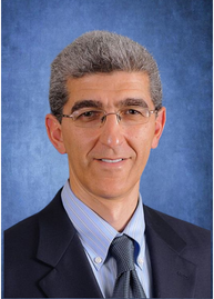 Ashraf S. Ibrahim, Ph.D.
