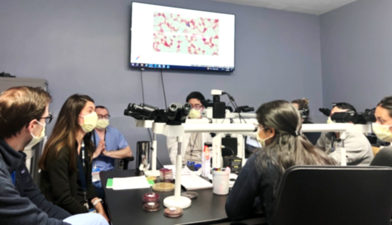 microrounds