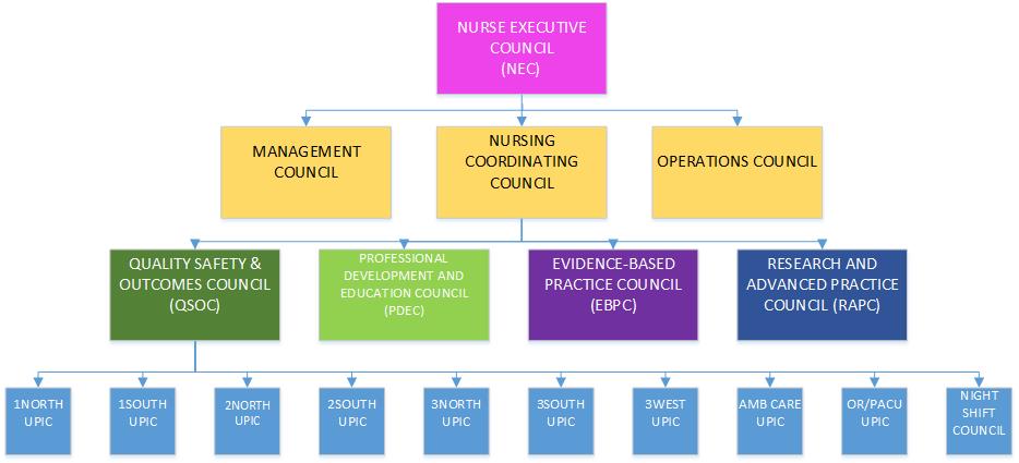 Shared Decision-making Structure