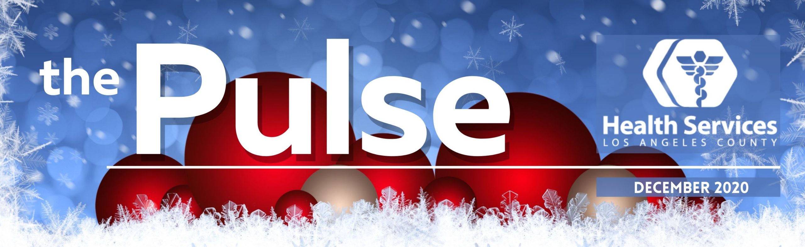Pulse Header_Dec 2020