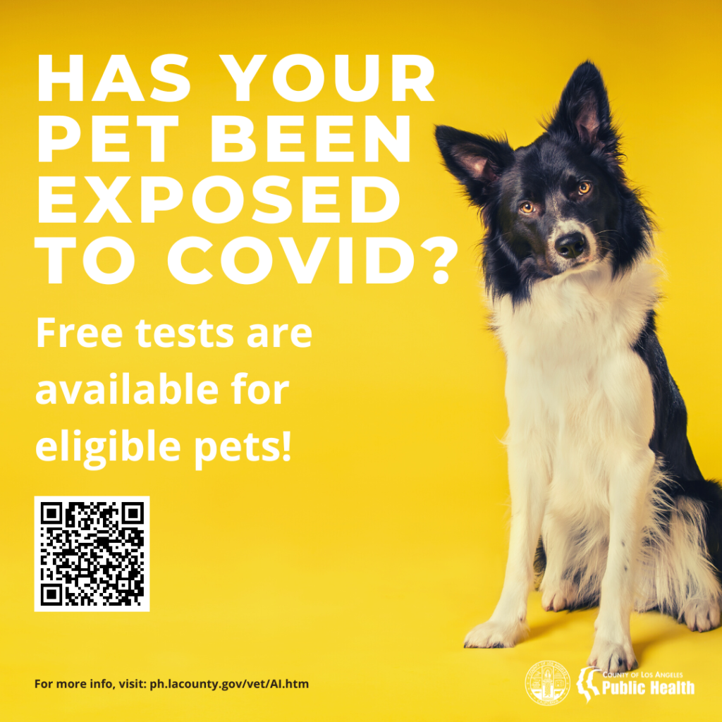 Has your pet been exposed to covid-19