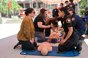 Programs-Division_EMS